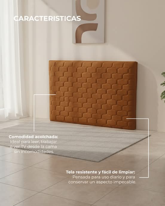 QUEEN BRANGUS 1.60 MT